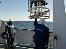 В Балтийском море проводят экспедицию по оценке численности донных рыб