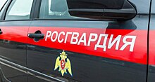 Росгвардия получит неприметные автомобили связи