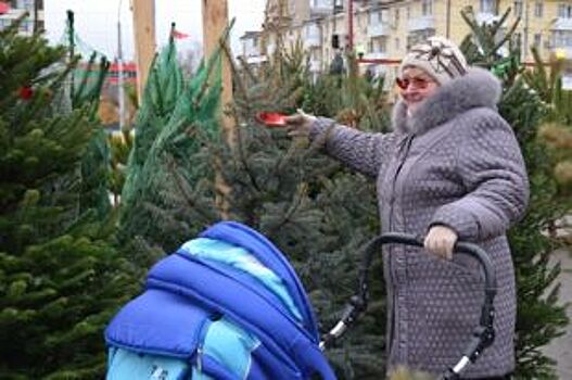 В Рязани откроют елочные базары