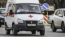 Россиянка сбила четверых детей на пешеходном переходе