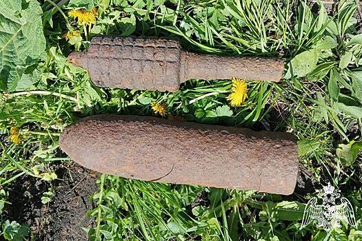 В российском поселке нашли снаряд и мину времен Гражданской войны