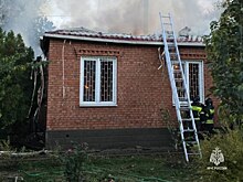 На Дону пожарные за последние сутки потушили две бани