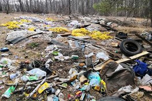 В Ярославской области мусор с незаконных свалок будут вывозить на полигоны