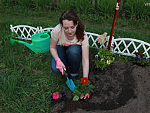 Дачи будут дорожать