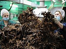 Крупнейший поставщик табачной продукции в России получил предупреждение от ФАС