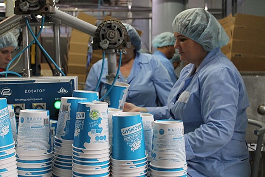 Новосибирские мороженщики повысили производительность благодаря нацпроекту