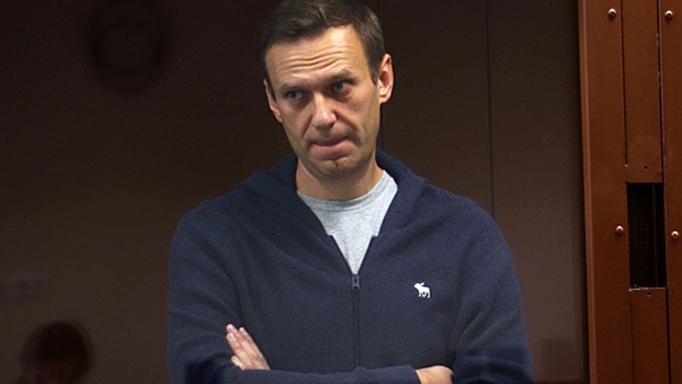 Глава МИД Финляндии хочет обсудить с Лавровым ситуацию вокруг Навального