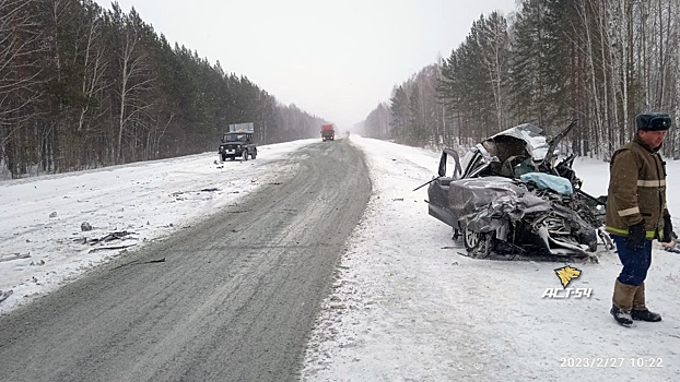 В Новосибирской области вблизи села Дергоусово произошло смертельное ДТП