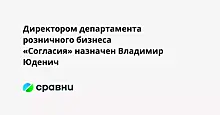 Директором департамента розничного бизнеса «Согласия» назначен Владимир Юденич