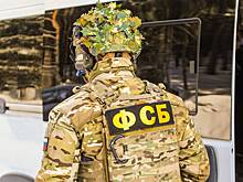 Россиянина задержали за призывы к осуществлению экстремистской деятельности
