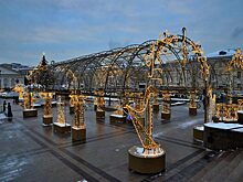 Успеть до Нового года: «Берегиня» дала советы москвичам