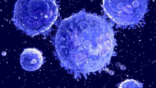 Биологи засняли Т-лимфоциты крупным планом