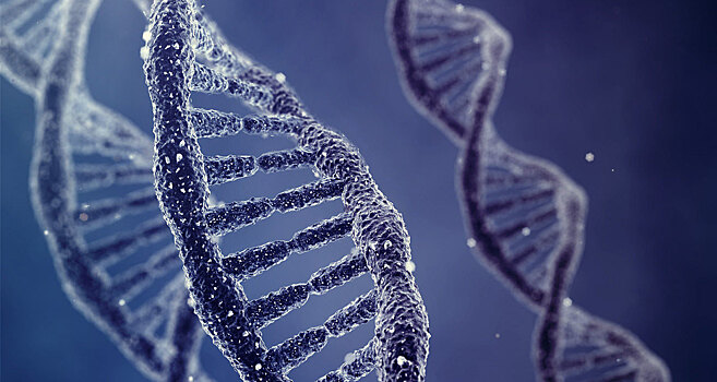 Ученые заставили молекулу ДНК делить и умножать