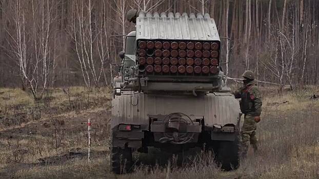 Российский военный рассказал о потерях ВСУ в технике под Ульяновкой