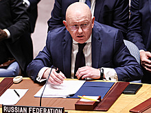 Небензя: киевский режим сделал Украину разменной монетой в противостоянии с РФ