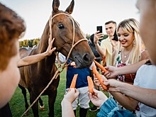 Команда St. Regis стала победителем XIII Открытого чемпионата по поло