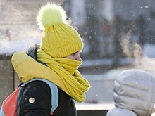 Синоптик Тишковец: снег и морозы придут в Москву в последней декаде февраля