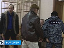 В Семилуках сын убитого медведем мужчины не взял 100 тысяч от хозяина зверя