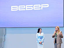В России начало работу агентство онлайн-социологии "Вебер"