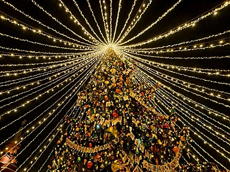 С главной площади Петербурга убрали новогоднюю елку