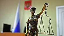Суд арестовал издевавшегося над людьми в Ростовской области блогера