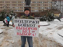 Псковские националисты поддержали акцию за бойкот выборов президента