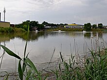 Краснодарцы рассказали Путину и Кондратьеву об отравлении озера зловонными отходами с консервного завода