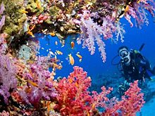 10 удивительных фактов о Красном море