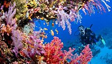 10 удивительных фактов о Красном море