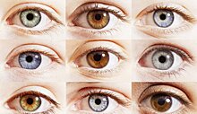 Как по цвету глаз понять, какие болезни вас ждут в будущем