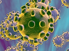 ВОЗ зафиксировала новый рекордный прирост заражений коронавирусом