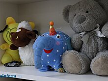 Дом-интернат для умственно отсталых детей в Мокшане переименован