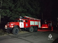 В с. Дубовском на пожаре погибли брат и сестра