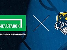 Ставка на будущее: «Лига Ставок» превратит Сочи в столицу спорта