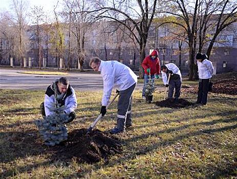 "Голубые бриллианты" украсили улицы и скверы Куйбышевского района