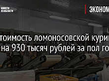 Себестоимость ломоносовской курицы упала на 930 тысяч рублей за пол года
