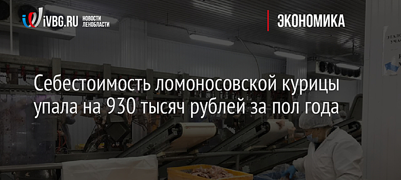 Себестоимость ломоносовской курицы упала на 930 тысяч рублей за пол года