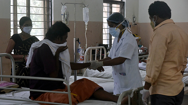 Первая жертва: почему из-за вируса Нипах не объявят новую мировую пандемию