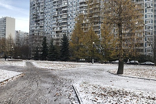 Снежный покров в Московском регионе в ближайшее время не сформируется