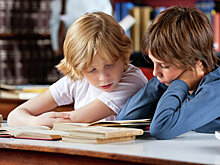 Шестиклассник написал книгу на английском языке