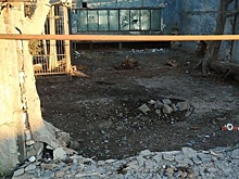 Ростовские ветврачи спешат на помощь раненому льву после атаки дронов