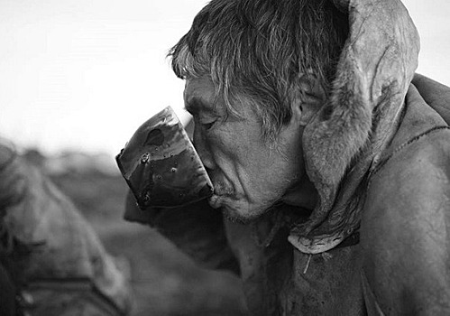 Зачем северные народы пьют кровь оленей