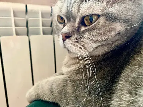 Во всех районах Самары работают отдельные горячие линии по отоплению