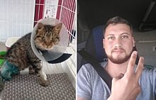 Дальнобойщик 17 часов вез раненого котенка в Екатеринбург, чтобы спасти