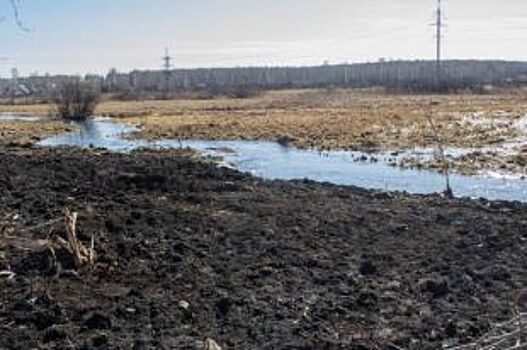Пейзаж маслом. Было ли загрязнение в реке Биргильда?