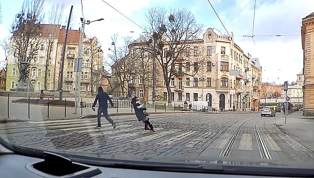 Во Львове прохожий внезапно нокаутировал даму с собачкой. Видео