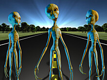 Как земляне встретят пришельцев