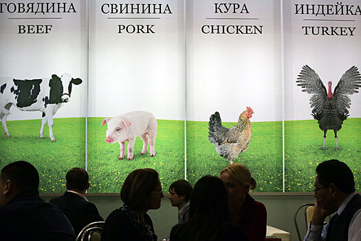 У России и Беларуси будет единая аграрная политика