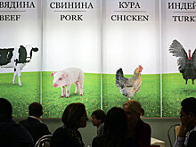 У России и Беларуси будет единая аграрная политика