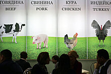 У России и Беларуси будет единая аграрная политика